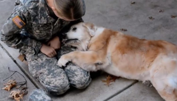 Soldato e il suo cane